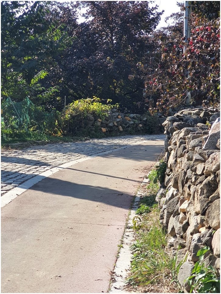 산수유 둘레길