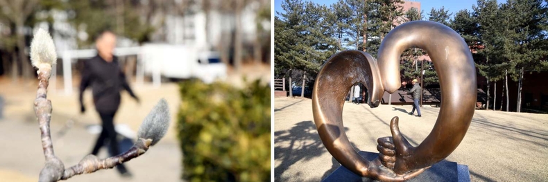 k-시흥시 소래산 놀자숲에 꿈틀대는 봄의 희망 3 ▲k-시흥시 소래산 놀자숲에 꿈틀대는 봄의 희망 4