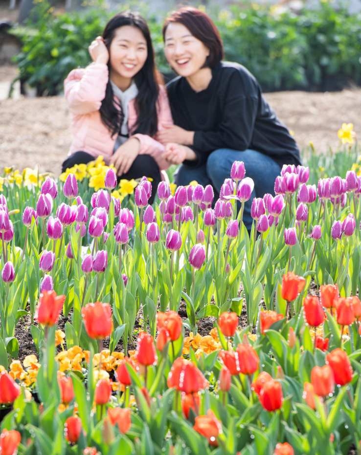 에버랜드 상상 속 요정마을 페어리 타운 (5) ⓒ타임즈