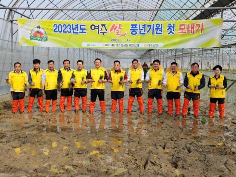 2023년도 여주시 첫 모내기 행사에 이충우 여주시장을 비롯해 정병관 여주시의회의장 및 여주시의회 의원, 이문기 농협중앙회 여주시지부장, 이병길 여주농협조합장 등이 함께 자리해 성공적인 여주쌀 생산을 기원 현장 사진 ⓒ타임즈