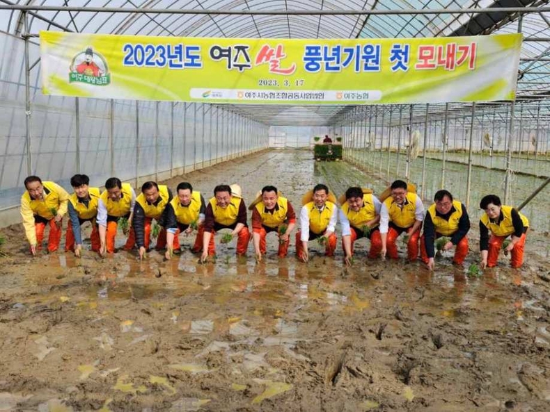 2023년도 여주시 첫 모내기 행사에 이충우 여주시장을 비롯해 정병관 여주시의회의장 및 여주시의회 의원, 이문기 농협중앙회 여주시지부장, 이병길 여주농협조합장 등이 함께 자리해 성공적인 여주쌀 생산을 기원 (현장 사진) ⓒ타임즈