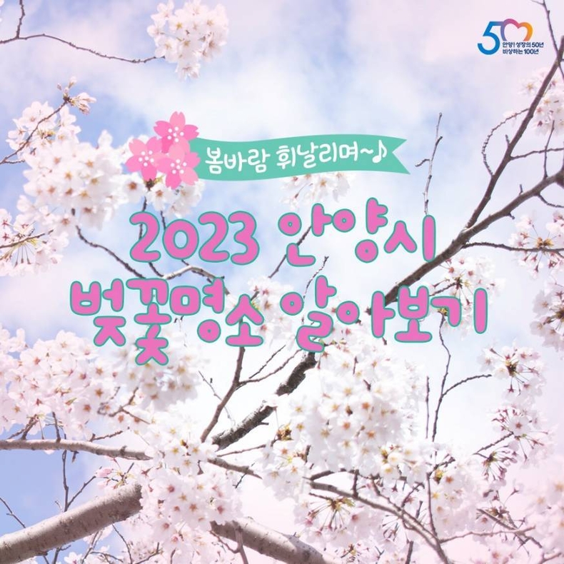 안양시 벚꽃명소1 ⓒ타임즈
