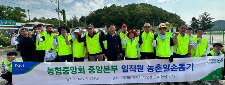 농업박물관 임직원 10여명은 경기 고양시 소재 오이 재배 농가를 찾아 오이순 정리에 나서며 농번기 일손돕기에 나섰다. ⓒ타임즈