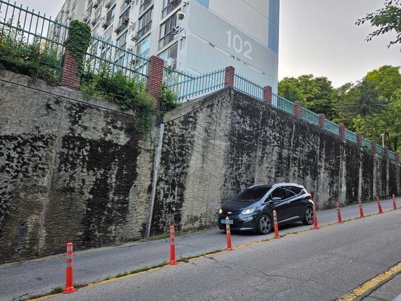 삼익아파트 도로변에서 짝은 사진(3) ⓒ타임즈