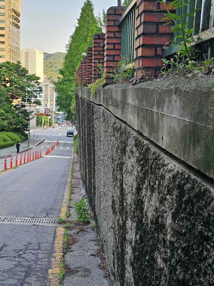 삼익아파트 도로변에서 짝은 사진(2) ⓒ타임즈