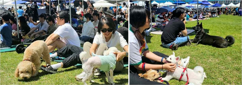 옛 경기도청 팔달청사에서 열린 ‘또 하나의 가족, 2023 경기도 펫스타(PETSTA)’ 현장 사진(1) ⓒ타임즈