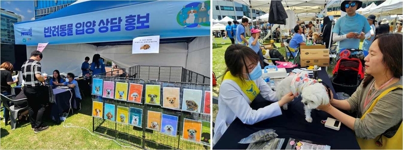 옛 경기도청 팔달청사에서 열린 ‘또 하나의 가족, 2023 경기도 펫스타(PETSTA)’ 현장 사진(6) ⓒ타임즈