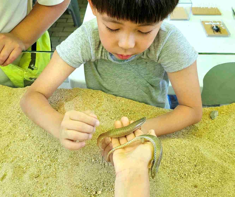 농촌테마파크에서 열린 ‘곤충아, 친구하자! 용인 곤충 페스티벌’ 사진(9) ⓒ타임즈