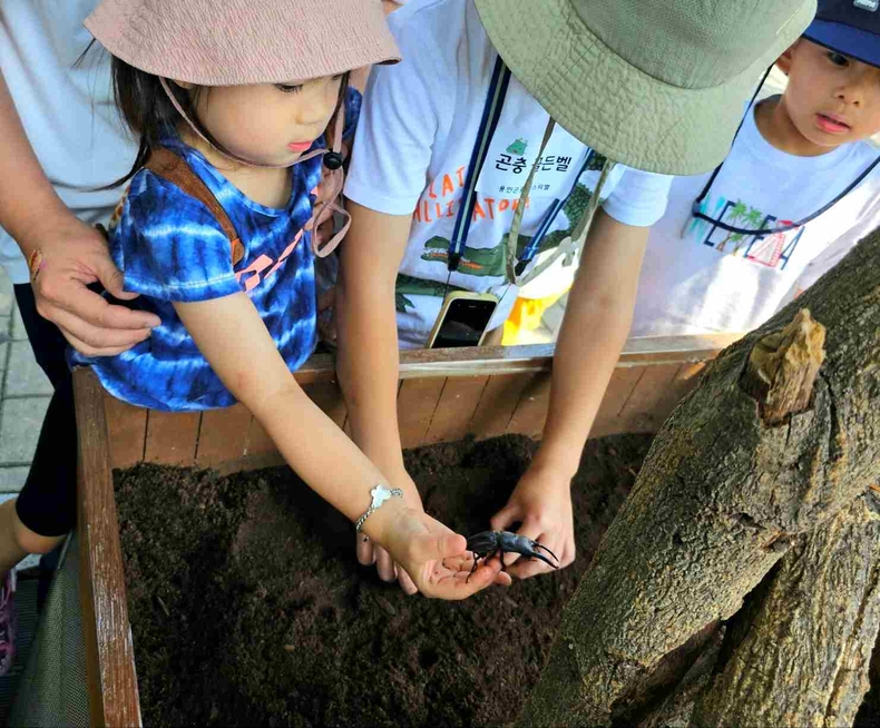 농촌테마파크에서 열린 ‘곤충아, 친구하자! 용인 곤충 페스티벌’ 사진(10) ⓒ타임즈