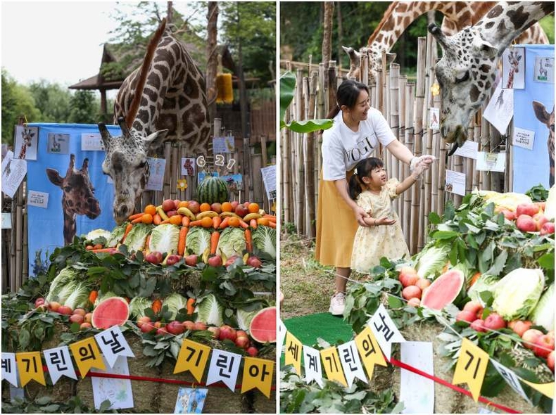 에버랜드_세계 기린의 날 맞아 고객들과 기린 보호 활동 (2) ⓒ타임즈