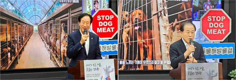 '2023 꽃개 조형전 : 세상의 모든 개들, 꽃길만 걷도록!'이 서울특별시의회 의원회관 1층 로비에서 개최했다(2) ⓒ타임즈
