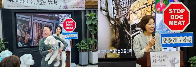 '2023 꽃개 조형전 : 세상의 모든 개들, 꽃길만 걷도록!'이 서울특별시의회 의원회관 1층 로비에서 개최했다(3) ⓒ타임즈