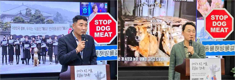 '2023 꽃개 조형전 : 세상의 모든 개들, 꽃길만 걷도록!'이 서울특별시의회 의원회관 1층 로비에서 개최했다(5) ⓒ타임즈