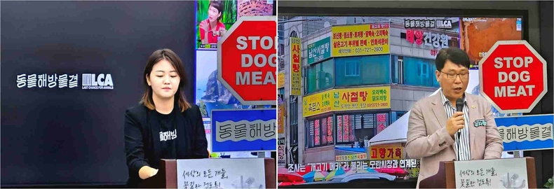'2023 꽃개 조형전 : 세상의 모든 개들, 꽃길만 걷도록!'이 서울특별시의회 의원회관 1층 로비에서 개최했다(6) ⓒ타임즈