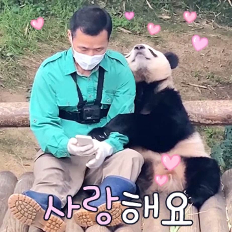 푸바오는 세 살 이모티콘_04 ⓒ타임즈