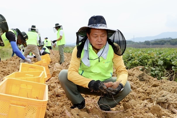12일 수확기를 맞이하여 자산운용사 IMM홀딩스 임직원과 함께 충남 홍성군 금평리 상하중마을을 찾아 고령화 및 일손 부족으로 어려움을 겪고 있는 고구마농가를 방문해 고구마 캐기를 돕고 농촌 현장의 소리를 듣는 등 뜻깊은 시간을 가졌다. ⓒ타임즈 