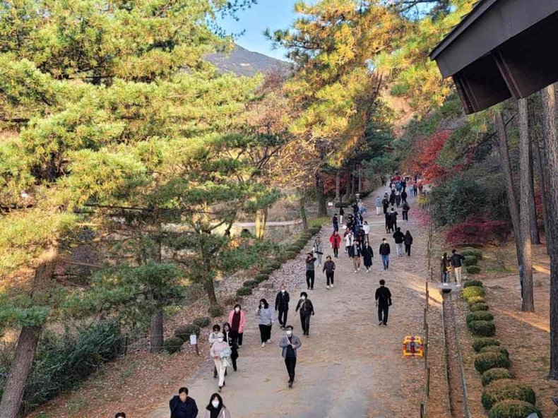 관악수목원 가을 단풍 사진5 ⓒ타임즈