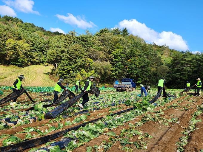 10일 수확철을 맞이하여 강원 평창군 대관령면에 위치한 농가를 방문해 합동 농촌일손돕기를 실시했다. ⓒ타임즈 