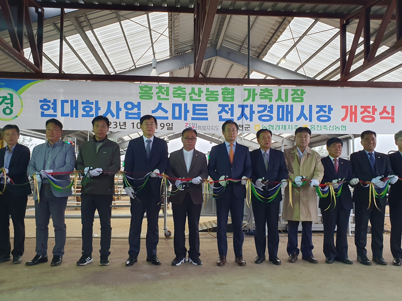 19일 강원도 홍천축협에 스마트 가축시장을 정식 개장하고 본격적인 운영에 돌입했다고 밝혔다. ⓒ타임즈