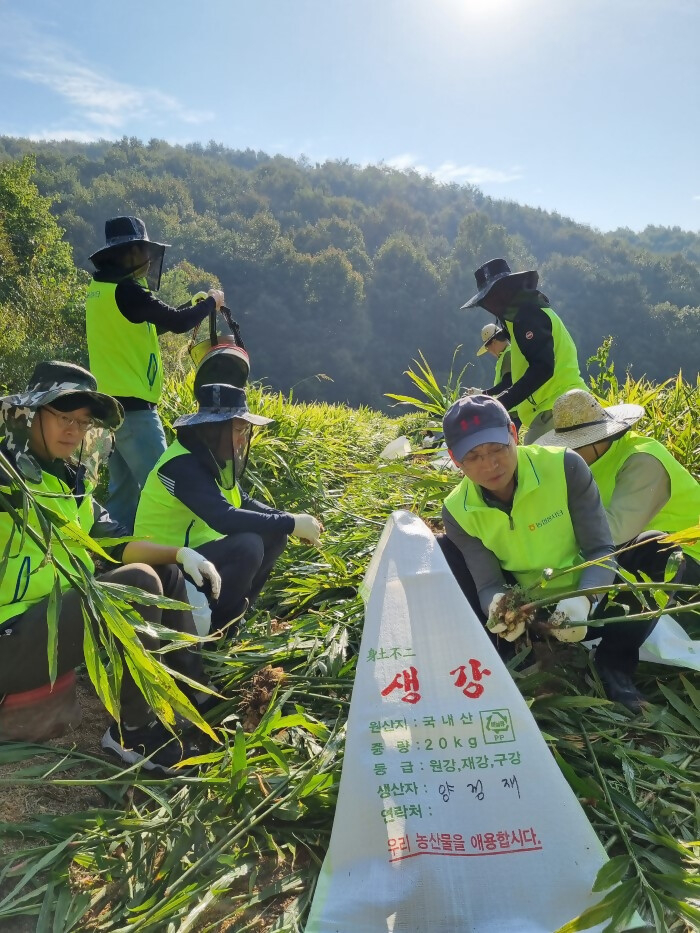 18일 수확기를 맞이하여 경기도 안성시에 위치한 경기 고삼농협 관내 농가를 방문해 농촌일손돕기를 실시했다. ⓒ타임즈