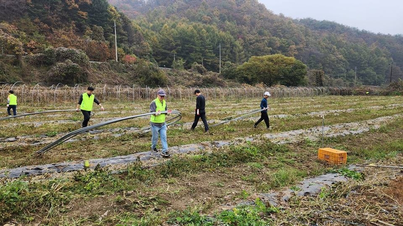 농협경제지주가 본격적인 수확철을 맞아 고령화와 외국인 근로자 감소 등으로 일손이 부족한 영농 현장을 찾아 일손돕기 활동을 펼쳤다. 1 ⓒ타임즈<br>