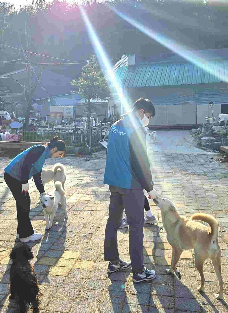 (부정기)유기동물 보호소 찾아 봉사활동하는 한국마사회 임직원 봉사단 ⓒ타임즈