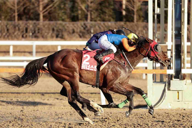 (기획1)(사진)23년 그랑프리 2연패 성공한 위너스맨과 서승운 기수 (2) ⓒ타임즈