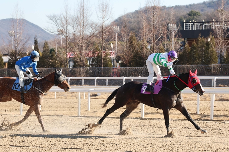 새해맞이 기념경주 우승한 경주마 서부특송과 장추열 기수 ⓒ타임즈