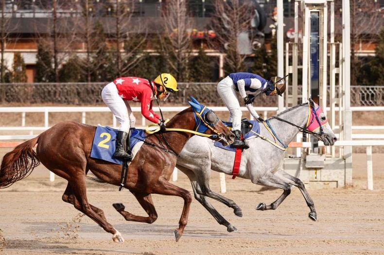 (사진)스포츠서울배 결승선 통과하는 나이스타임과 문세영기수 ⓒ타임즈