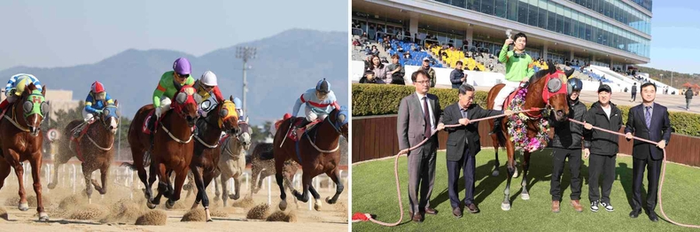 (부정기2)(사진1) 부산일보배 우승마 라온더포인트(9번마)의 경주장면 ▲(부정기2)(사진3) 제18회 부산일보배 시상식 모습 ⓒ타임즈