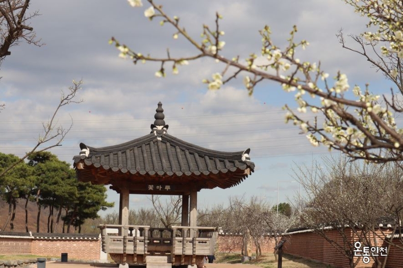 경인 아라뱃길 매화동산(매화) ⓒ타임즈 