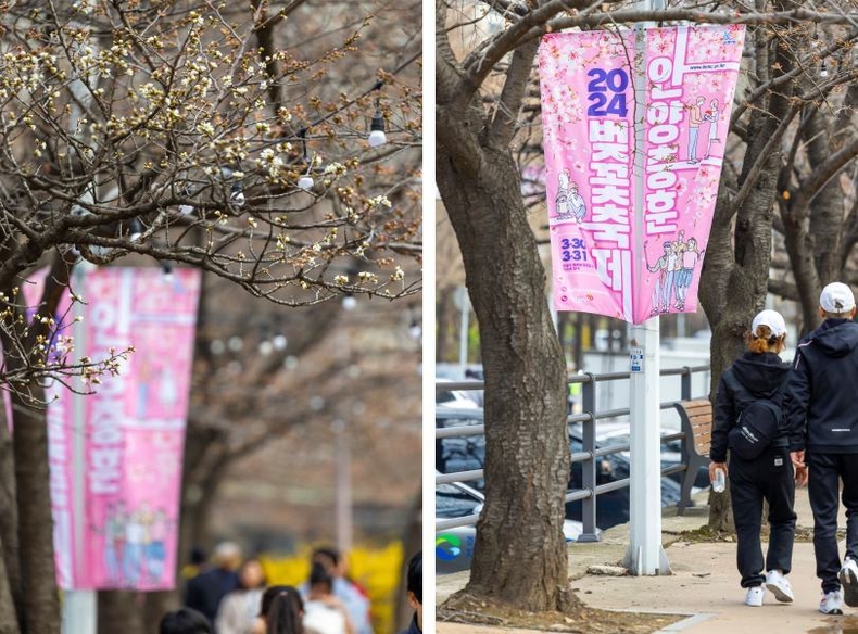 사진1) 마음은 벌써 봄_안양벚꽃축제 산책로 ▲사진2) 마음은 벌써 봄_안양벚꽃축제 산책로 ⓒ타임즈