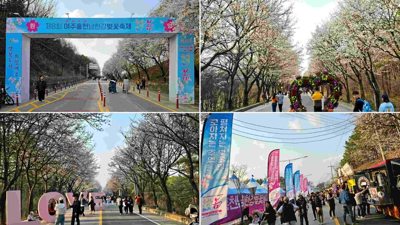 제8회 여주 흥천 남한강 벚꽃축제(2) ⓒ타임즈