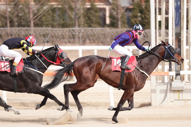 글로벌히트_24년 헤럴드경제배 우승장면 ⓒ타임즈 