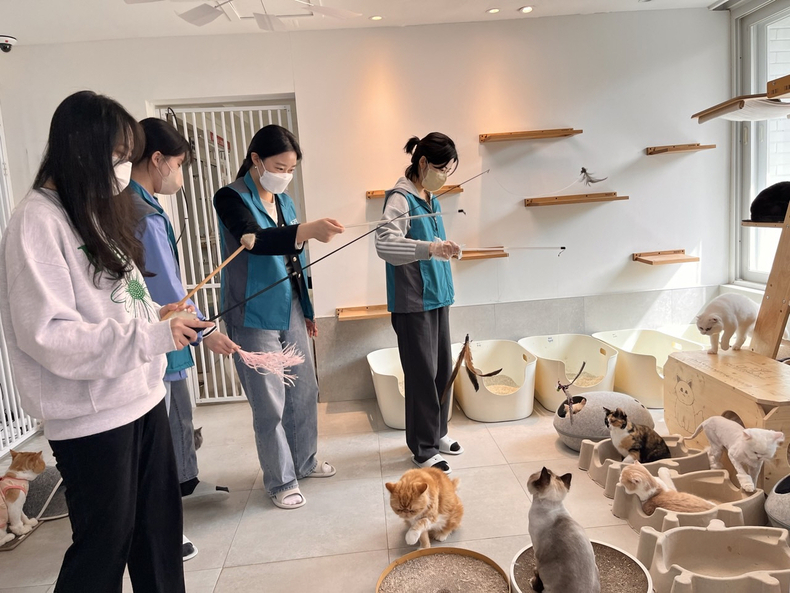한국마사회, 고양이 돌봄봉사 실시 ⓒ타임즈 