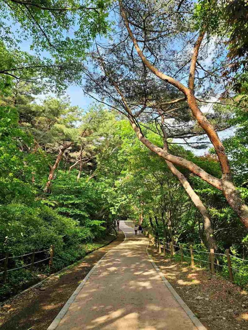 남한산성 등산로 사진(8) ⓒ타임즈