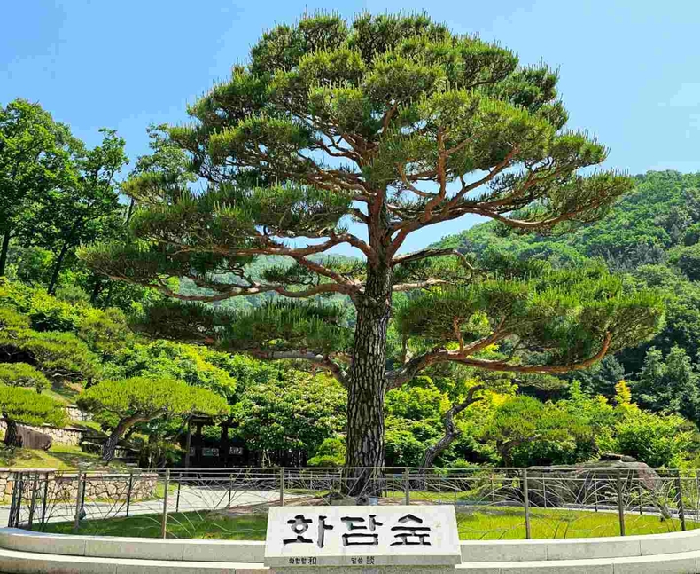 화담숲 사진(1) ⓒ타임즈