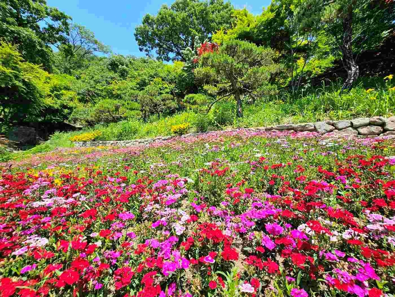 화담숲 사진(5) ⓒ타임즈