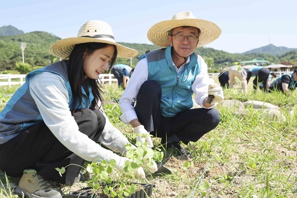 한국마사회 정기환 회장과 임직원 케나프 식재행사 ⓒ타임즈 