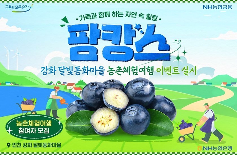 240612 농촌체험여행 팜파레 6월호 블루베리 ⓒ타임즈 