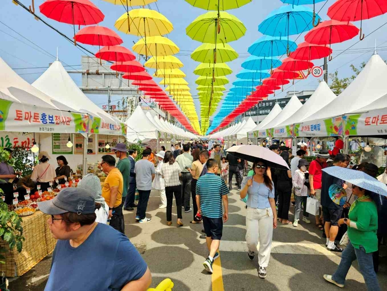 경기 광주 퇴촌 토마토축제 개최 행사 사진(4) ⓒ타임즈