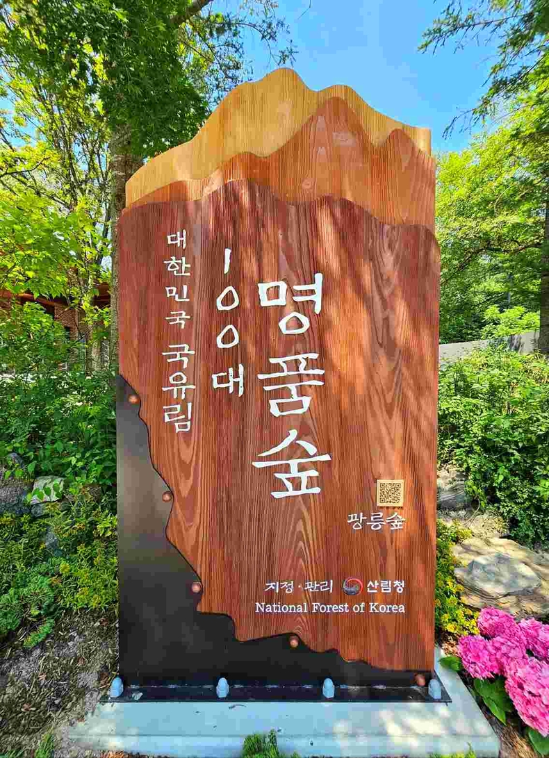 광를숲 사진(1) ⓒ타임즈