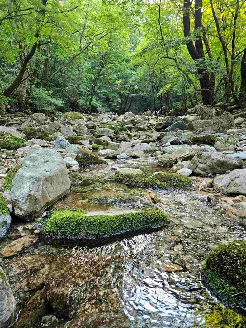 양평 용문사 계곡 사진(6) ⓒ타임즈