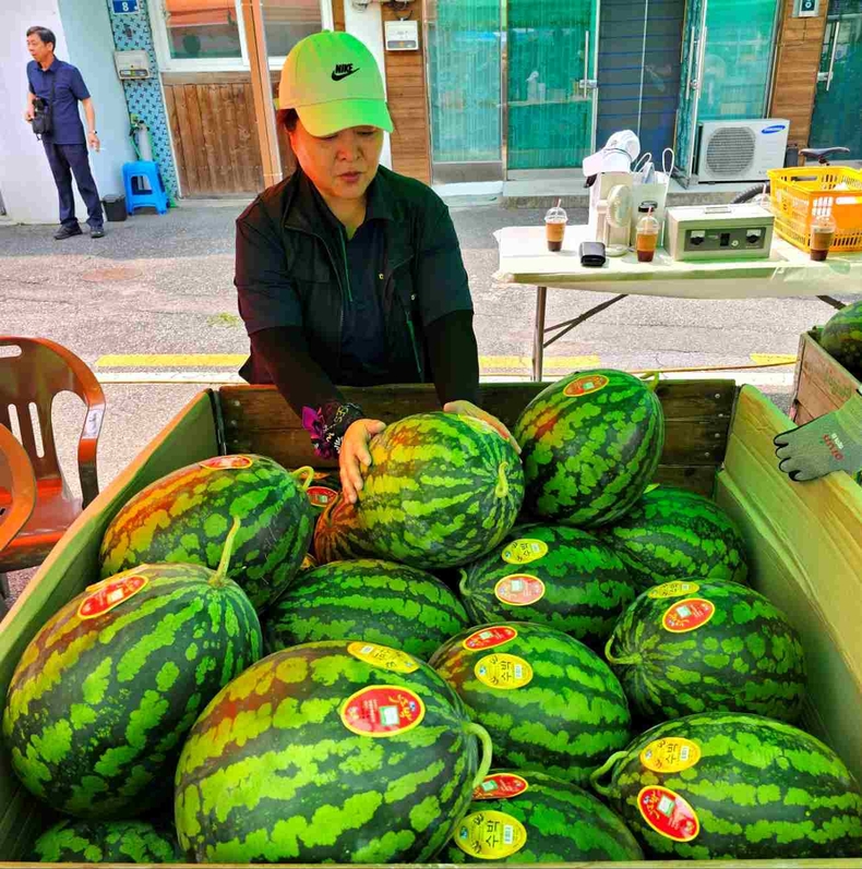 제2회 청운시장 수박 플리마켓이 진행(5) ⓒ타임즈