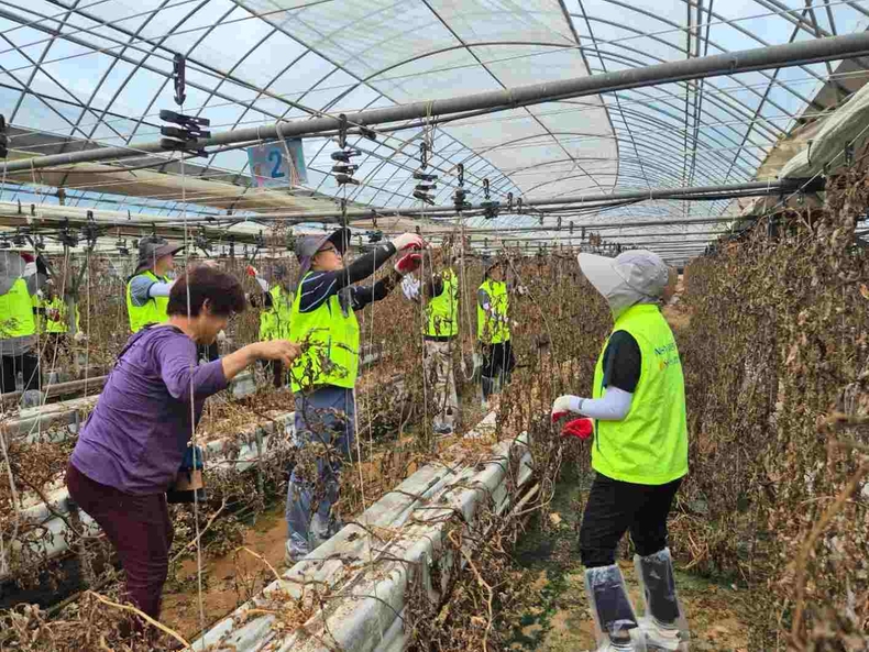 <사진설명> 김용욱 투자상품·자산관리부문 부행장과 직원들이 수해복구 작업을 진행하고 있다. ⓒ타임즈