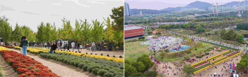 1. 2024 드림파크 국화축제 사진-1 ▲2. 2024 드림파크 국화축제 사진-2 ⓒ타임즈