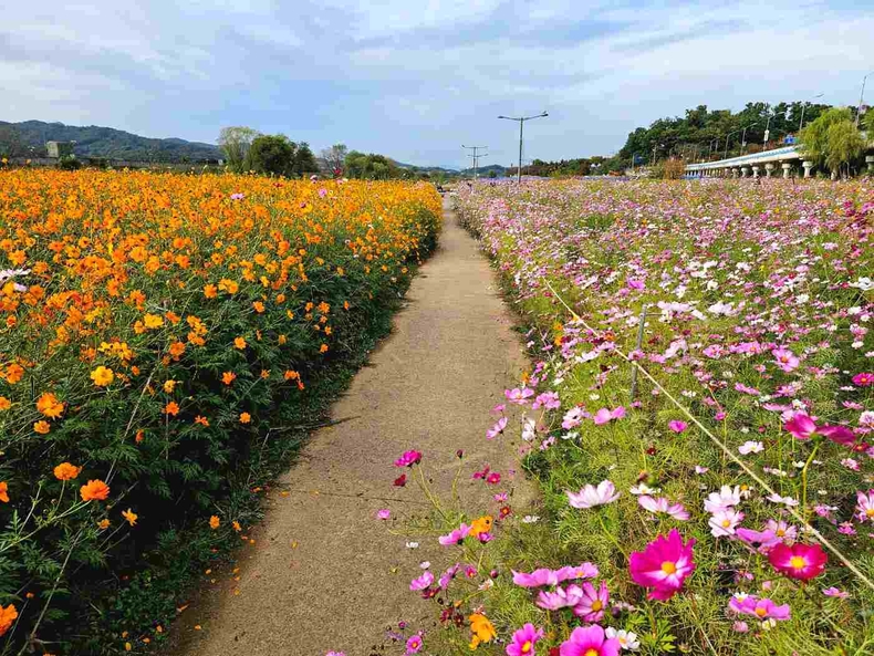 성남 탄천 사진(8) ⓒ타임즈