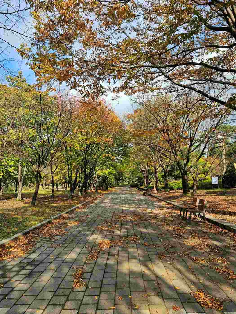 성남 분당중앙공원 사진(5) ⓒ타임즈