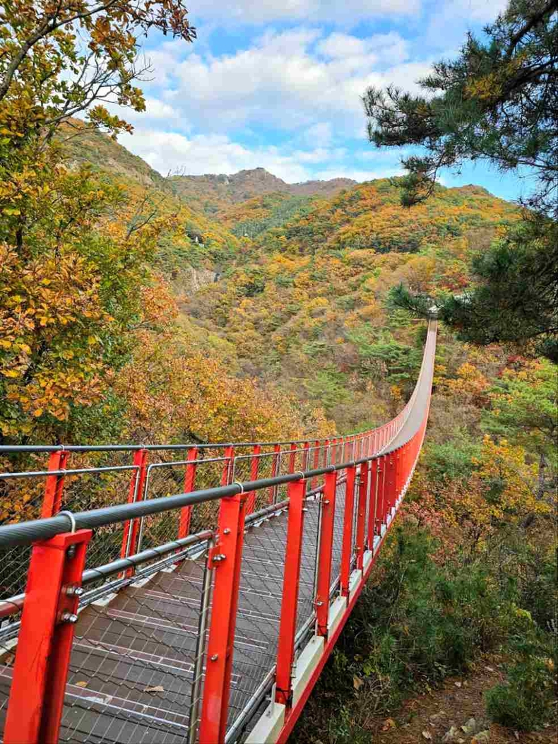 경기도 파주 감악산 출렁다리 사진(3) ⓒ타임즈