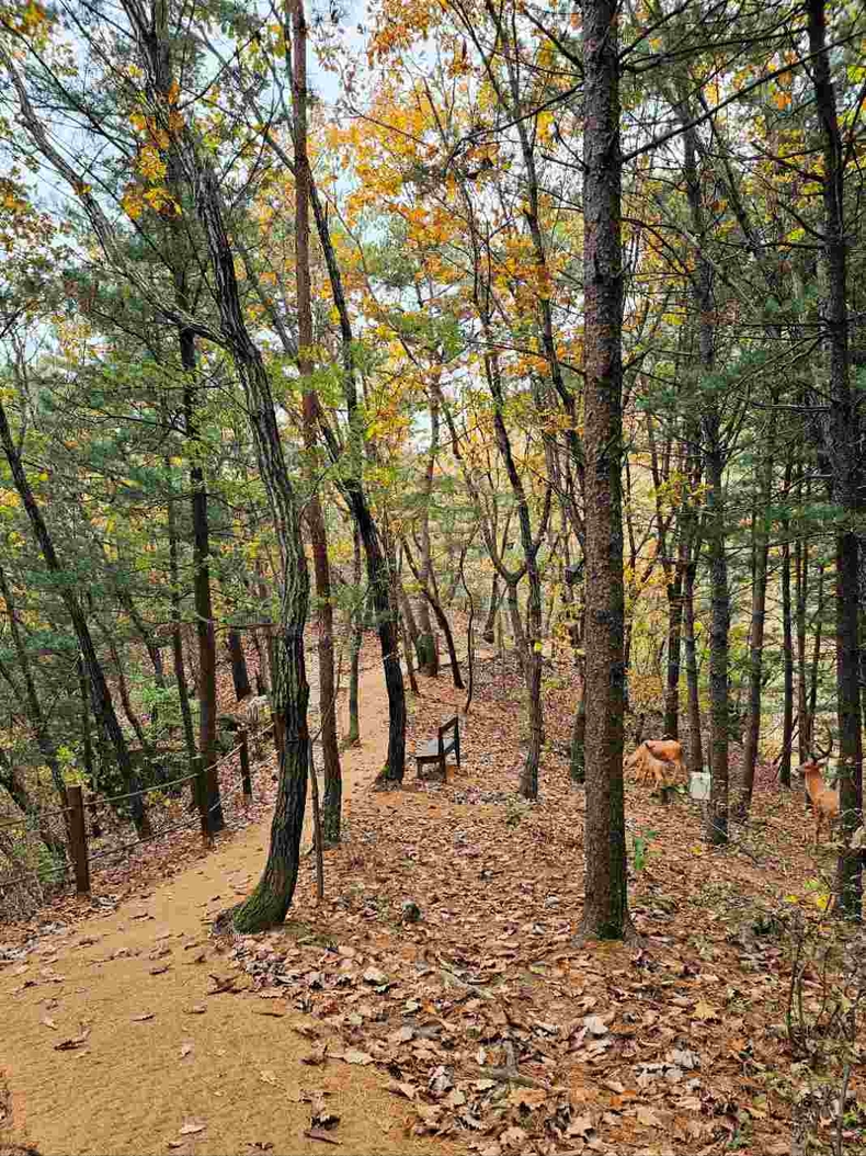 경기도 파주 감악산 사진(8) ⓒ타임즈